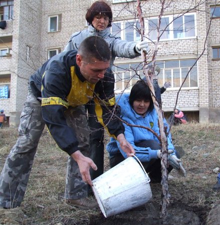 благоустройство