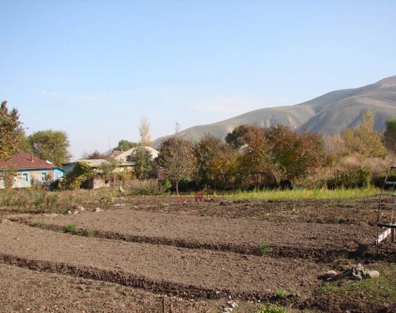 uchactki