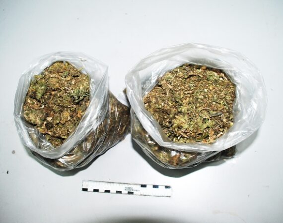 kannabis