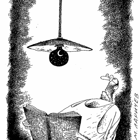 фото на 5 полосу