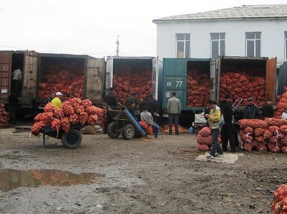 рынок таджикистана