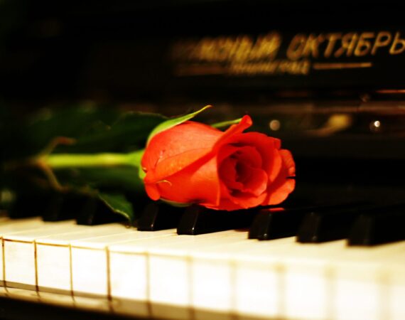 муз колледж