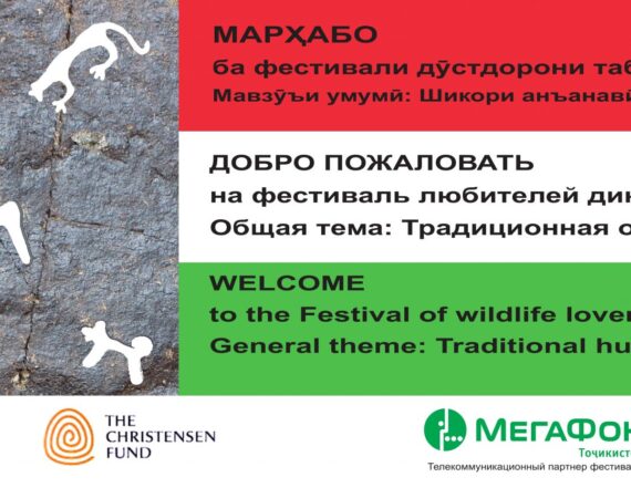 мегафон в номер