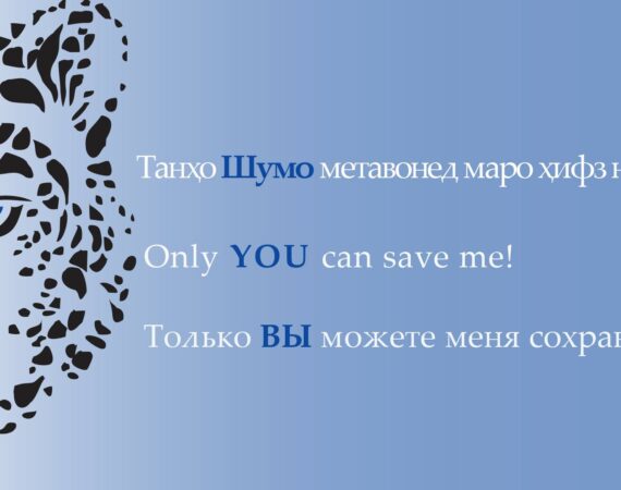 баннер
