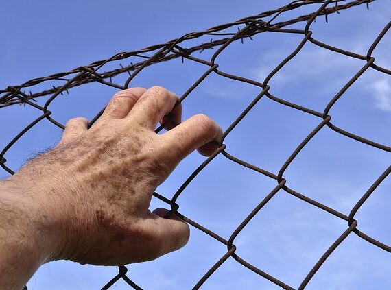 barbed-wire-1408454_640