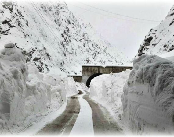 D7697BCE-F736-4915-9EF8-A4E7C35BF089_w1023_r1_s