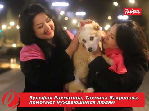 Дарите любовь!