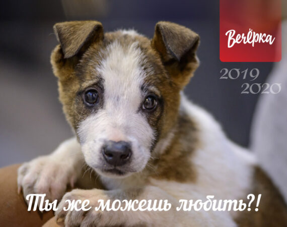 Вечерка календарь+2.cdr