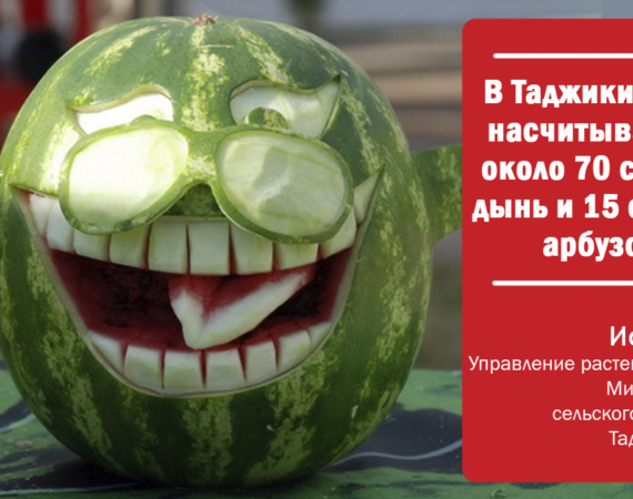 арбуз