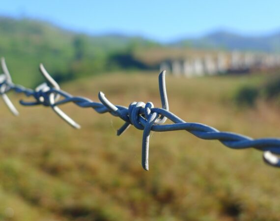 barbed-wire-114500_1280