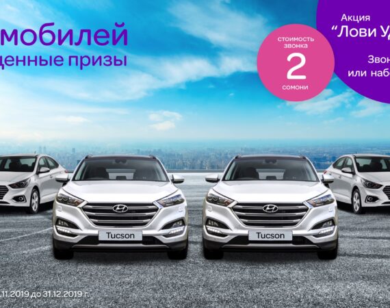 Фото к тСелл 1 нояб