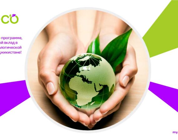 Программа-Эко-от-Тселл