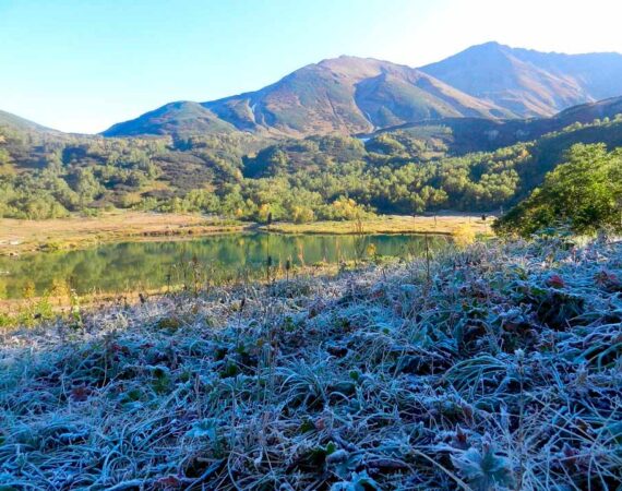 первые заморозки