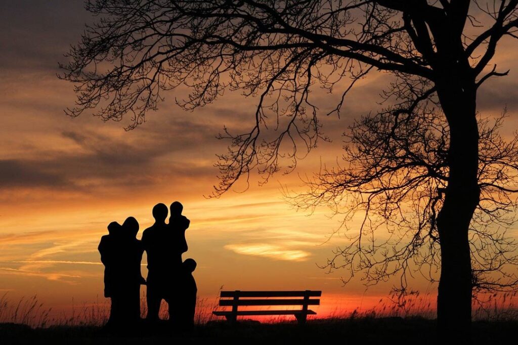 семья закат