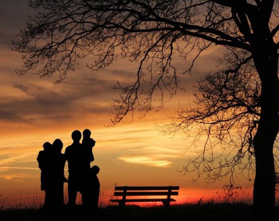 семья закат