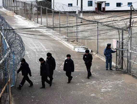 колония-700x433