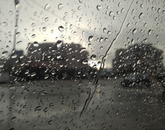 regnum_picture_15596686734958183_social