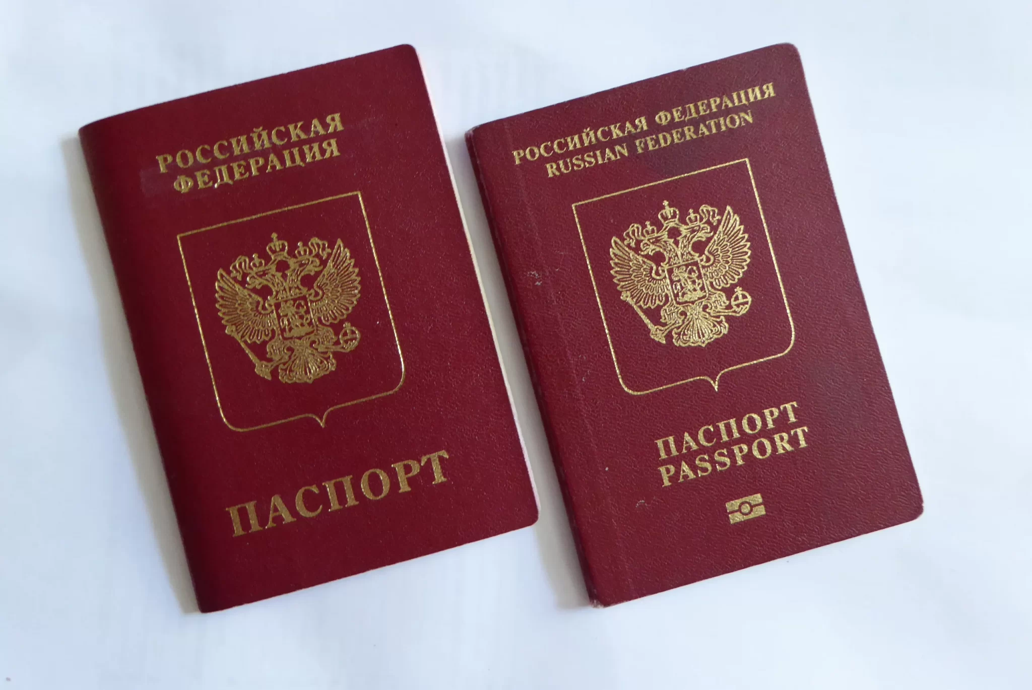 паспорт загран на 10 лет фото