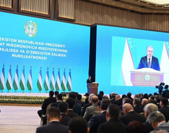 AnW7kr16715173687732_l