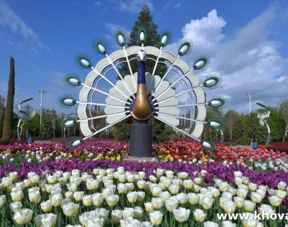 Gulhoi-Dushanbe-4-kopiya