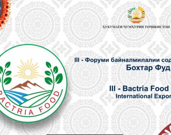 346155898_561925976022436_6965215077886489180_n-1-1140x684