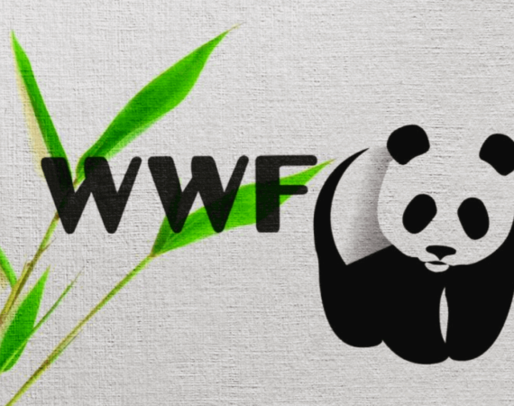mezhdunarodnyj-fond-zashchity-zhivotnykh-istoriya-uspekha-world-wide-fund-for-nature-wwf-vsemirnogo-fonda-dikoj-prirody