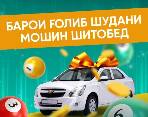 photo_2024-08-12_15-49-13