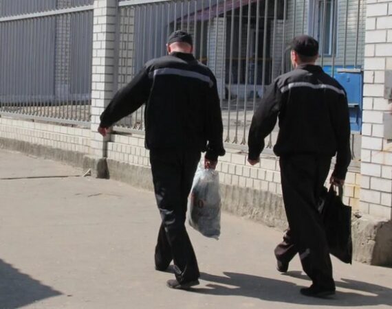 IMG_20241121_034826_553