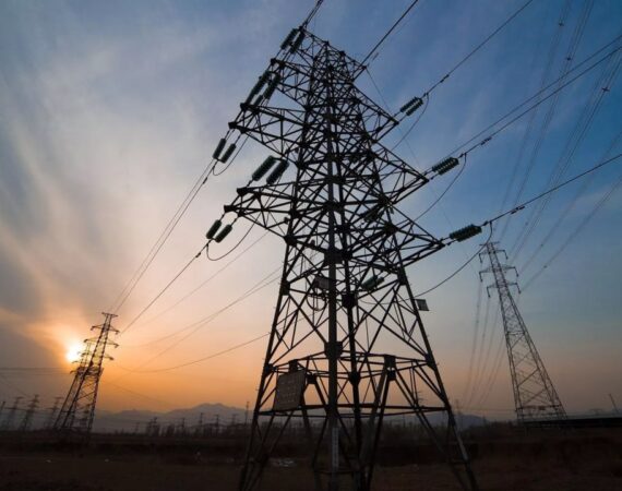 IMG_20241123_090407_545