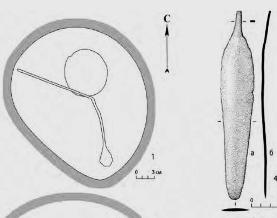 IMG_20241125_130438_024