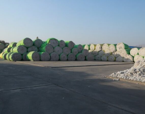 IMG_20251020_014609_840