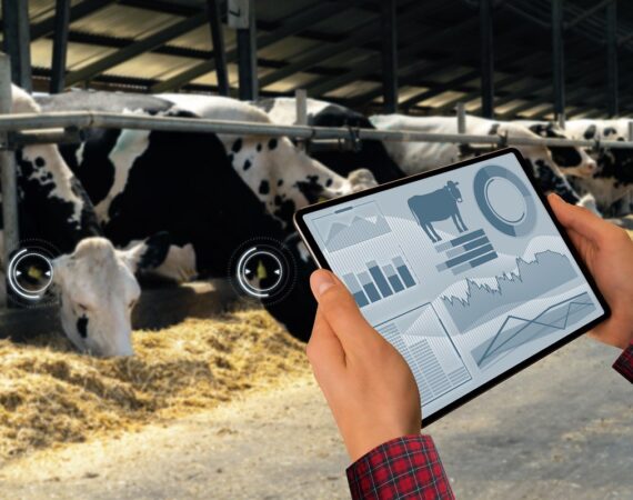 IMG_20251124_004340_550