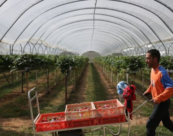 IMG_20260111_215921_840