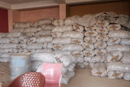 IMG_20260113_075828_254