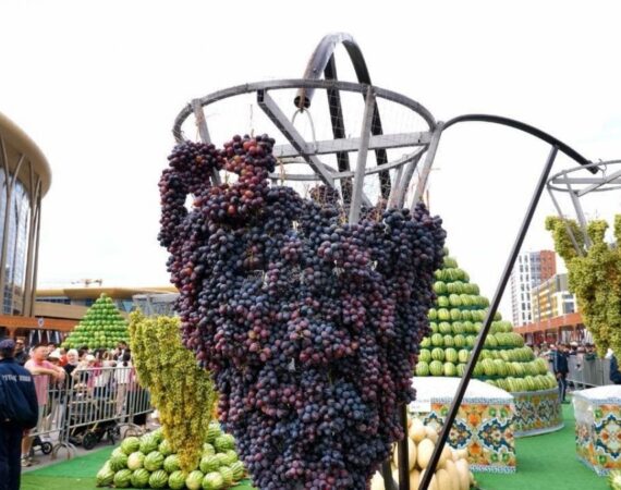 IMG_20260113_080553_027