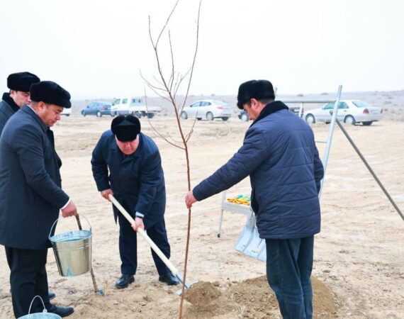 IMG_20260204_004006_467