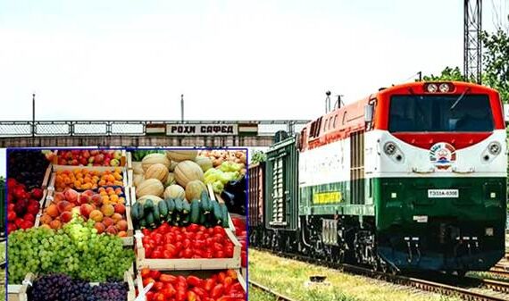 plodoovoshhnoj-produktsii-iz-Tadzhikistana-2