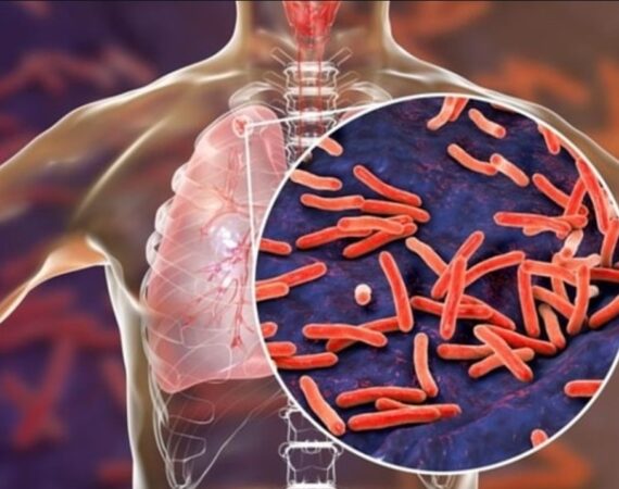 Screenshot_20260203_030410_Instagram