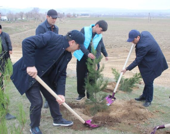 IMG_20260305_235503_178