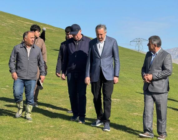 IMG_20260328_064326_472