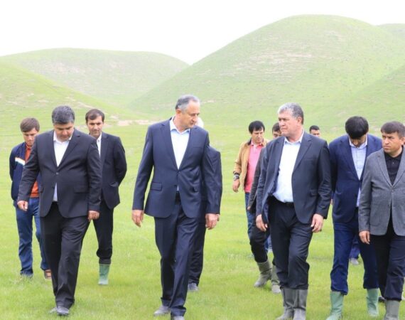 IMG_20260407_062225_099