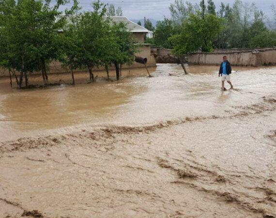 damba-uzbekistan