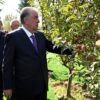В Раште собрали более 100 тонн фруктов